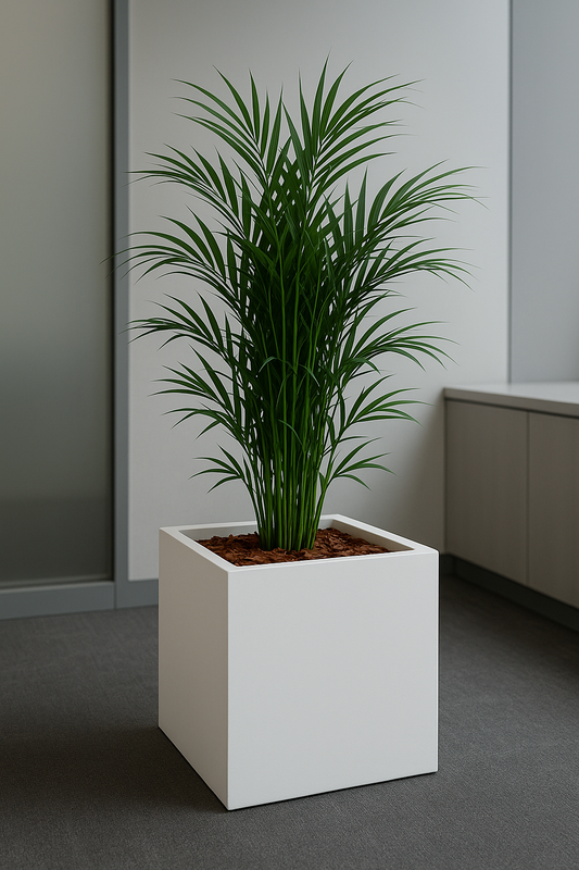 Kruka - Forma Vase - PRIME