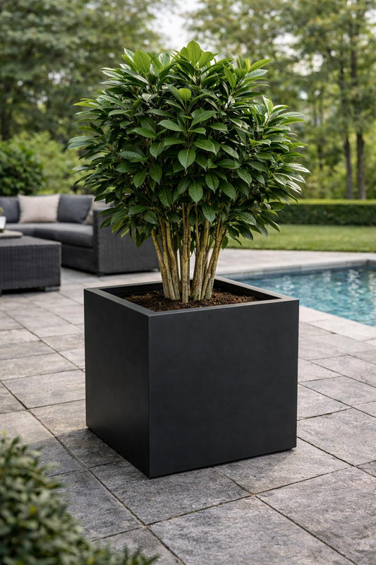 Kruka - Forma Vase - PRIME