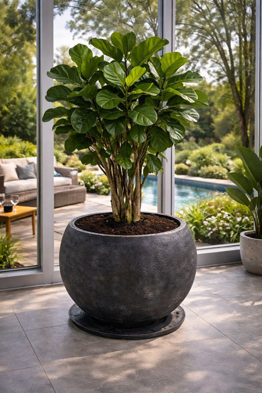 Kruka - Forma Vase - EMBER