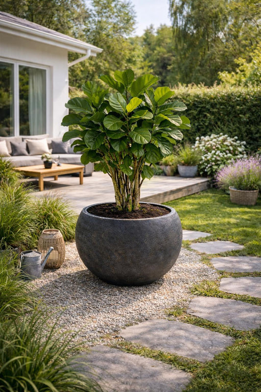 Kruka - Forma Vase - EMBER